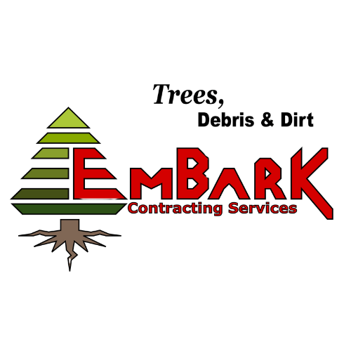 Embark Software